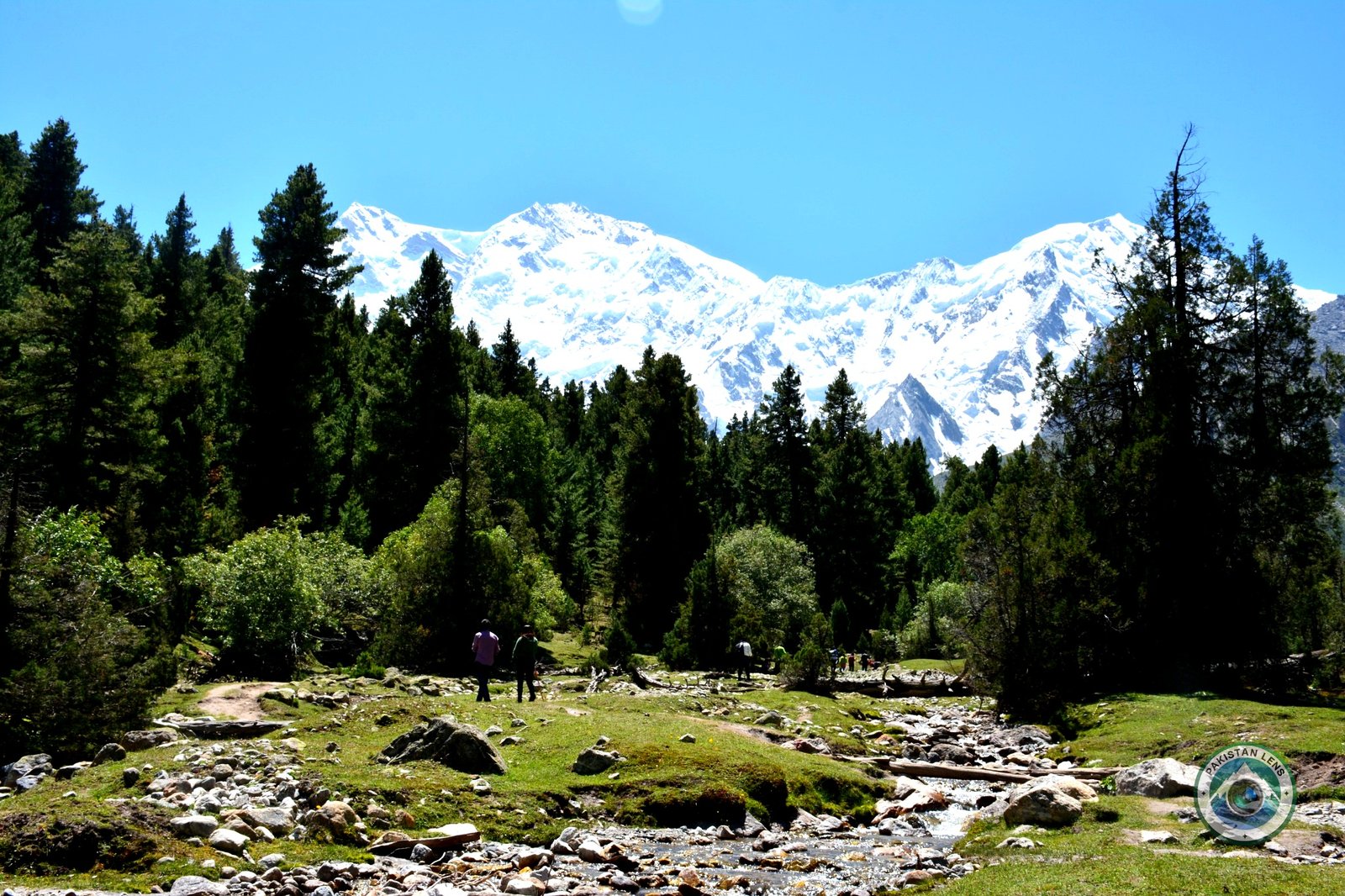 nanga parbat peak from bayal camp

