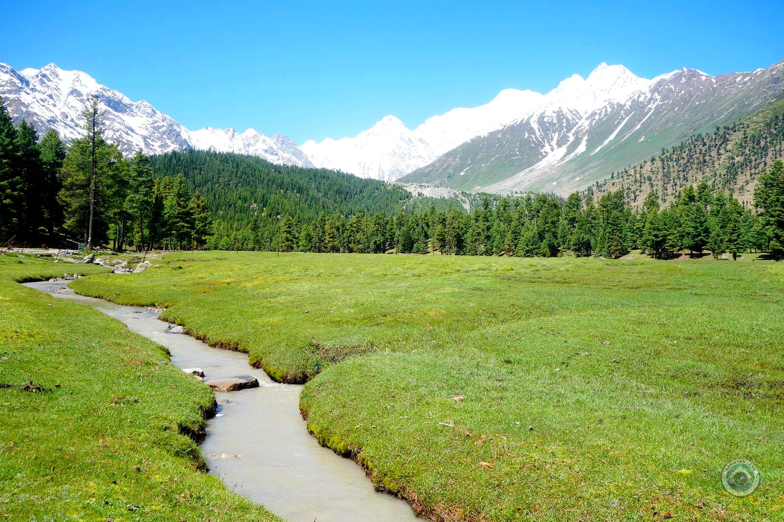 Beautiful green fields and mountains at Rama Meadows