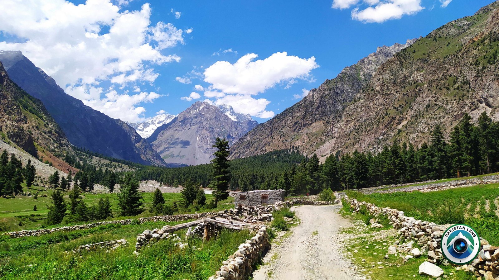Mountain road view in Naltar Bala Valley