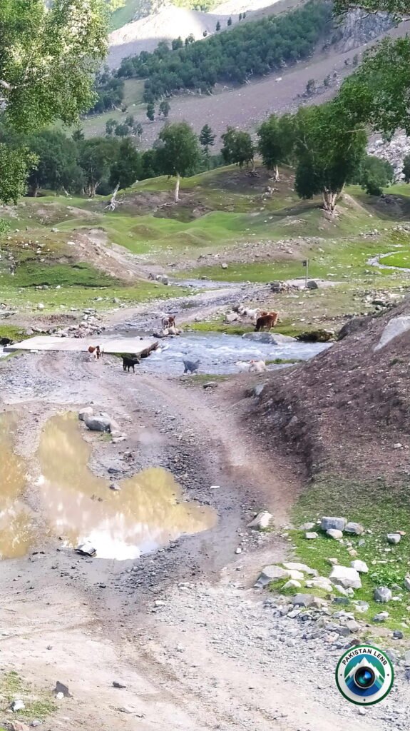 Rough jeep track leading to Naltar lakes through mountains