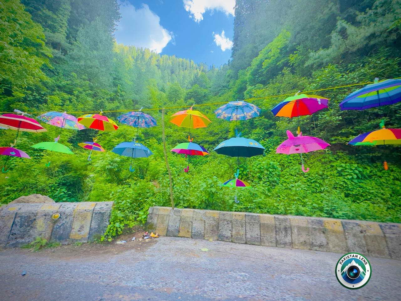 Flower garden and colorful tourist attraction in Galiyat Abbottabad Pakistan