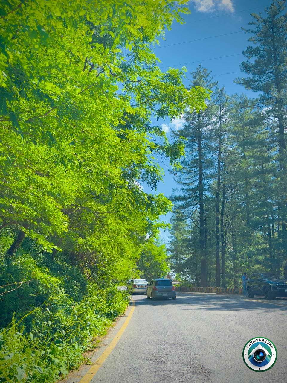Tree-lined tourist road in Galiyat Abbottabad Khyber Pakhtunkhwa Pakistan
