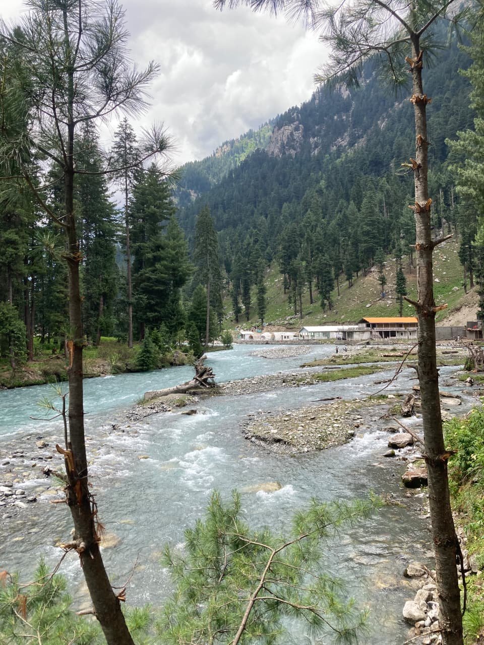 Panjkora River flowing through the forests of Kumrat Valley.