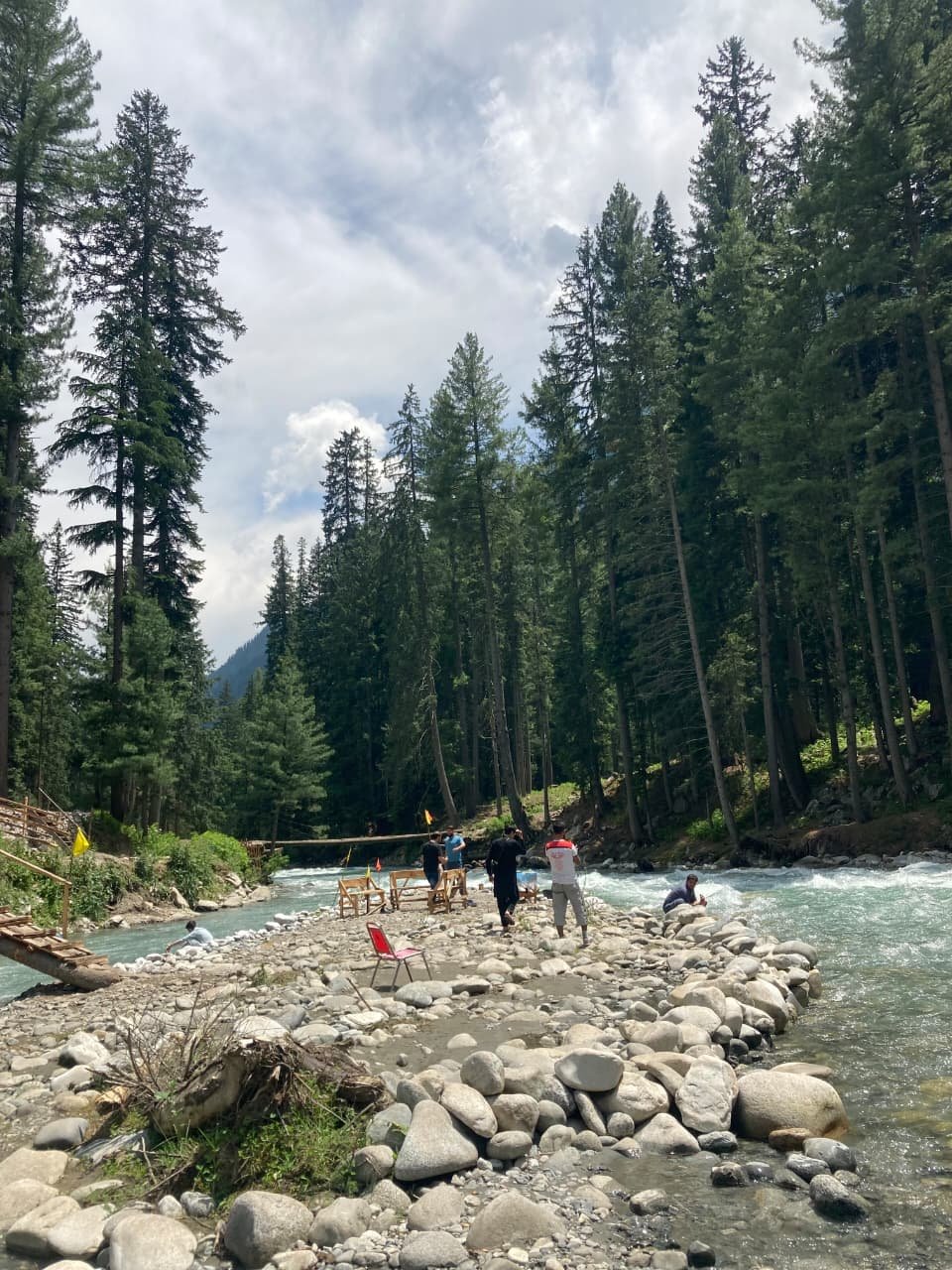 Pine forest and river view in Kumrat Valley.