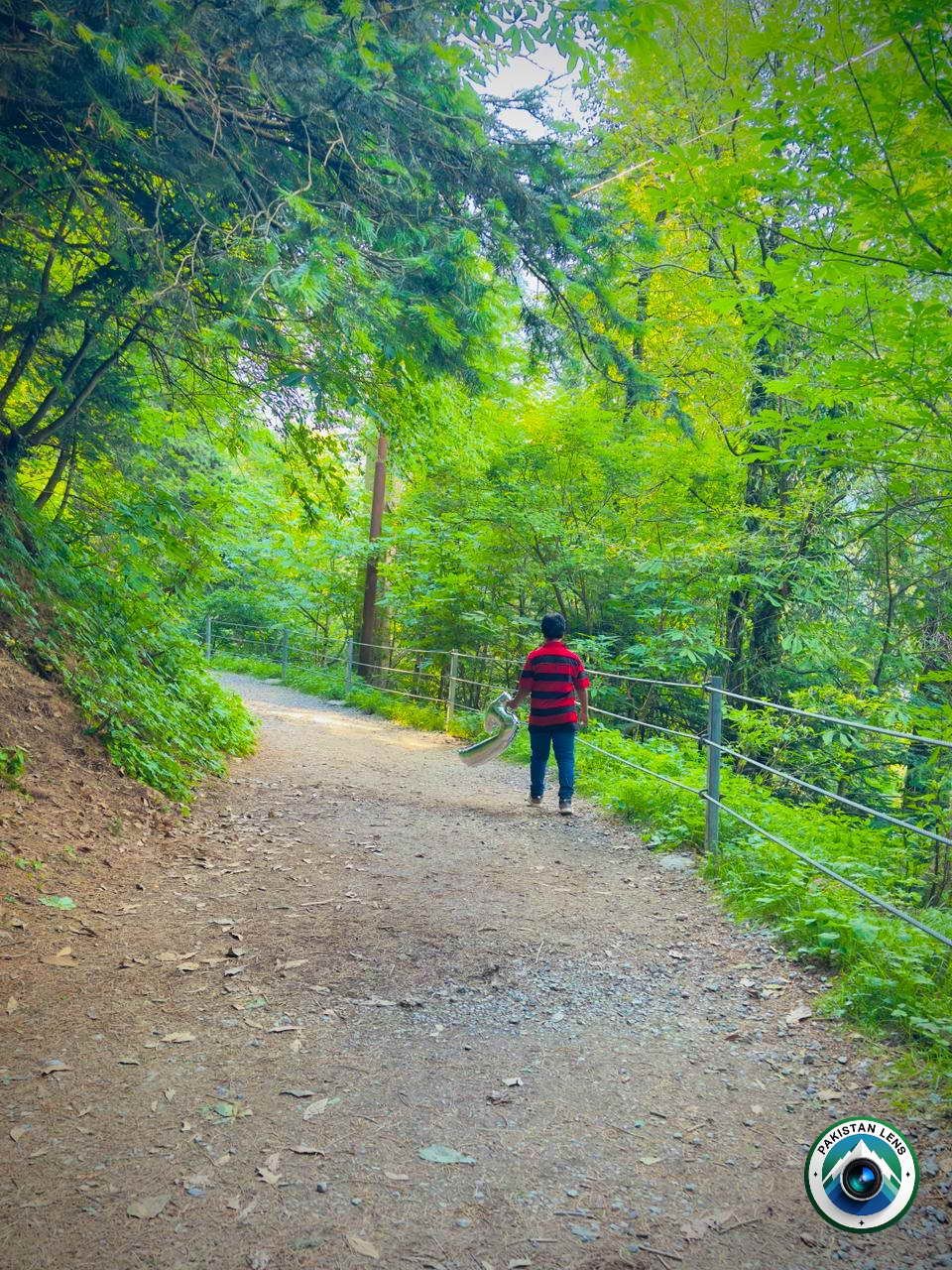 
 Forest hiking trail on the Pipeline Track in Ayubia National Park Galiyat
